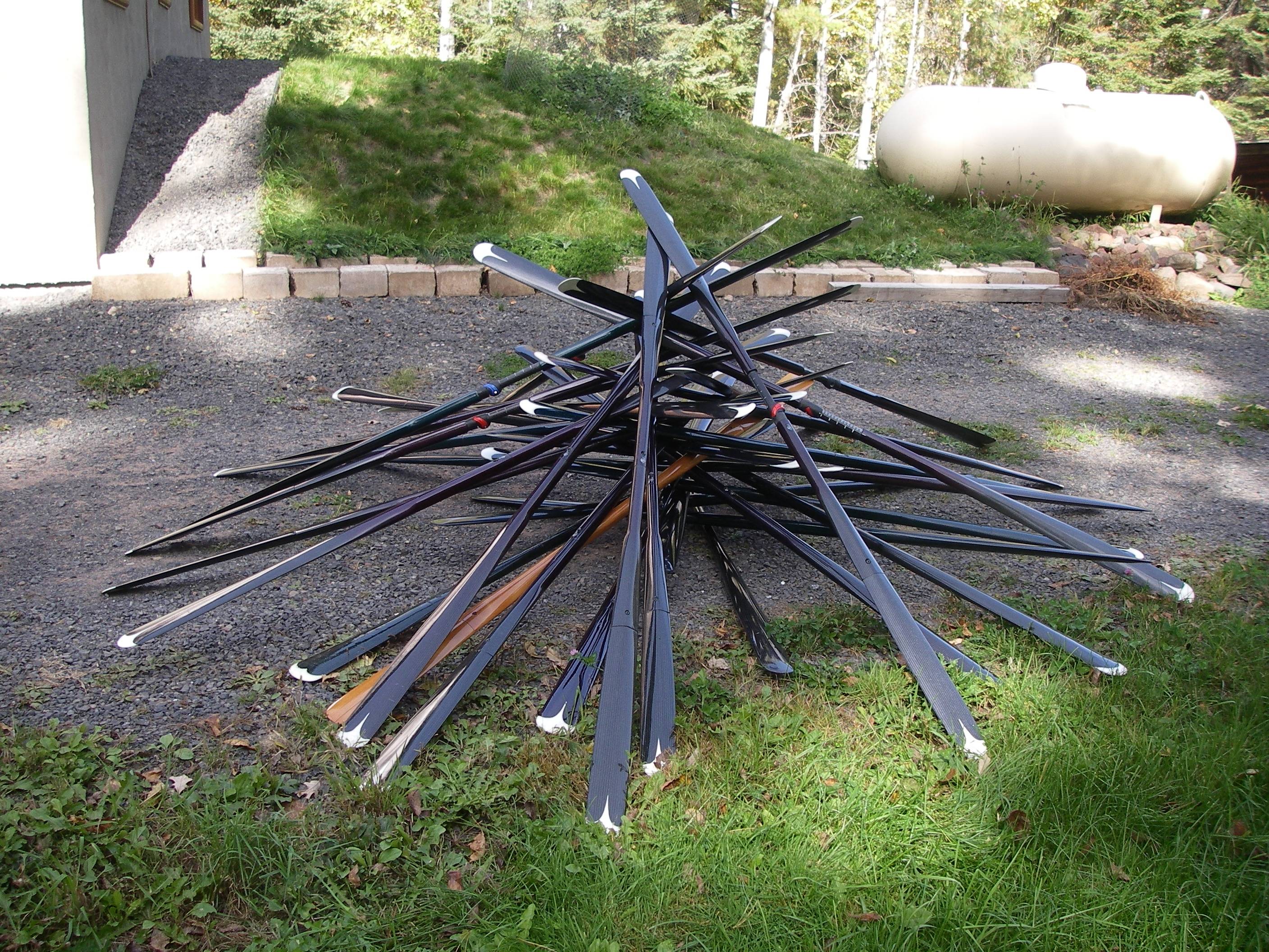 Suggestions and advice on buying a Greenland paddle? Advice